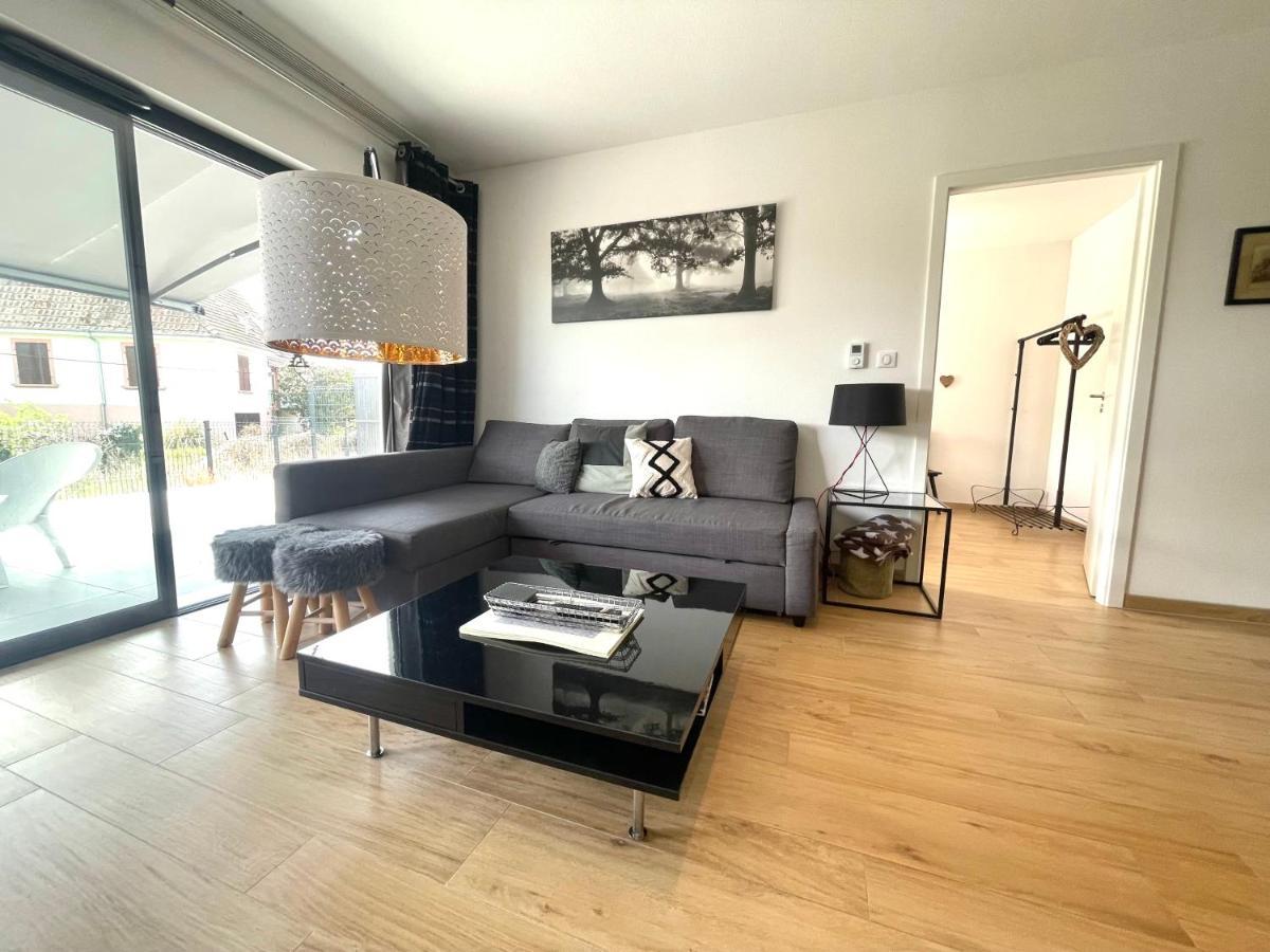 Magnifique 2 Pieces, Tout Equipe, Terrasse Privee Colmar Exterior foto
